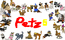 Все породы из Petz